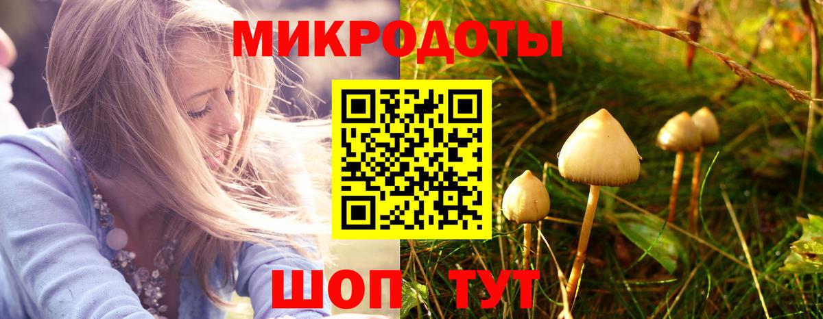 Псилоцибиновые грибы Magic Shrooms  Псилоцибиновые грибы Psilocybine cubensis  Советск  Вход с VPN 